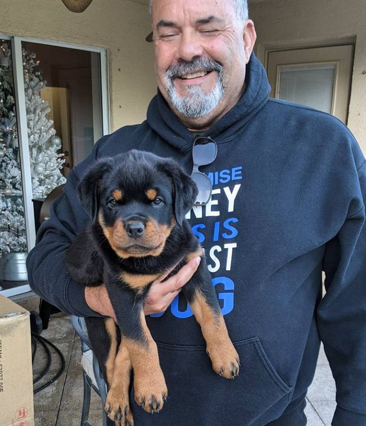 https://akiraspuppies.com/puppy-inquiry